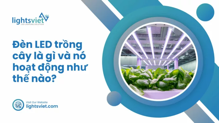 Đèn LED trồng cây là gì và nó hoạt động như thế nào