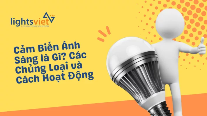 Cảm Biến Ánh Sáng là Gì - Các Chủng Loại và Cách Hoạt Động